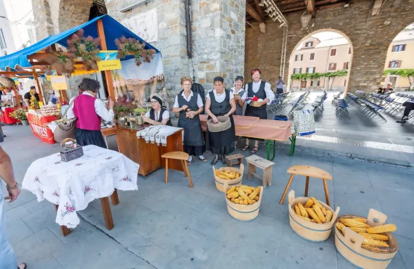 Koper na dlani je tradicionalna koprska prireditev, na kateri se 
predstavijo občinska kulturna društva in krajevne skupnosti. 