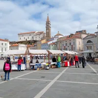 Foto: Sonja Ribolica