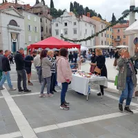 Foto: Sonja Ribolica