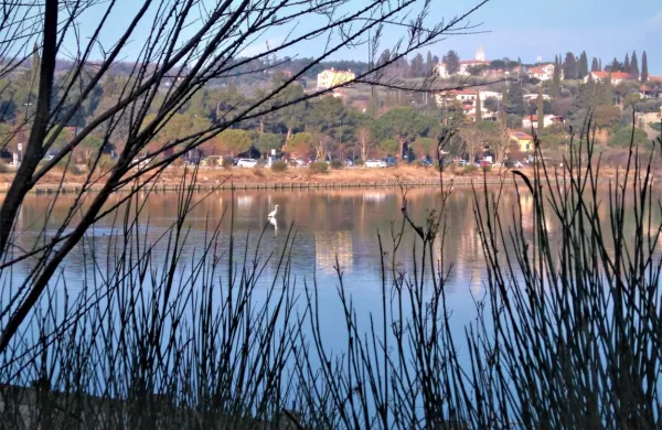 Krajinski park Strunjan je izdelal akcijski načrt za preprečevanje in 
ublažitev pojavnosti morskih odpadkov