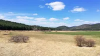 Petelinjsko jezero kot kraško polje. Dno je poraslo s travami in 
zelišči, bregovi so zaraščeni z borom. V preteklosti  so ga izkoriščali 
za ledarstvo (led so z vozovi  vozili  v tržaško pristanišče) in kot 
avstroogrski, italijanski ter jugoslovanski vojaški poligon.  