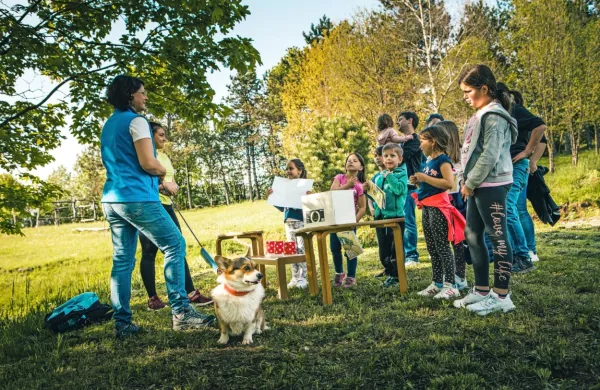 V družbi psa so bolj motivirani za delo