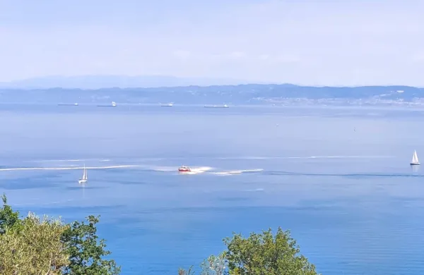 Plovilo SVOM sredi cvetenja na morju