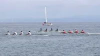 Jutri bo  v Simonovem zalivu spet živahno, saj se vrača Istrska 
veslaška regata. 