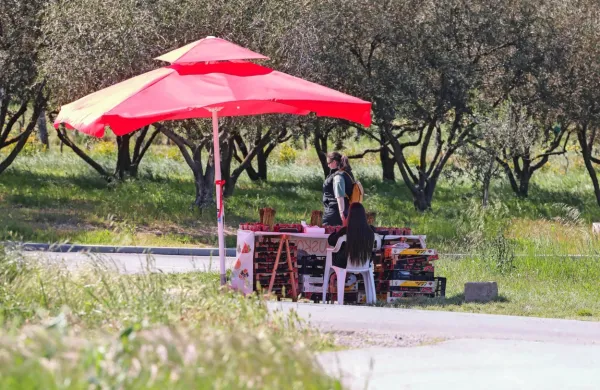 

Nadzori finančnih inšpektorjev so usmerjeni v preverjanje izpolnjevanja zakonodaje s področja dela in zaposlovanja na črno 
ter davčnega potrjevanja računov.