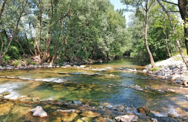 Reka Vipava je z ukrepi v projektu VIPava primer  dobre prakse 
urejanja pregrad na  ribam in drugim vodnim organizmom prijazen 
način.