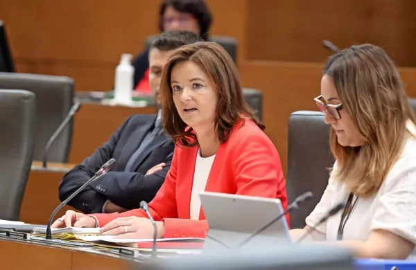 Predstavitev Tanje Fajon so podprli poslanci nove vladne koalicije, 
proti pa so glasovali poslanci SDS in NSi. 