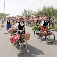 V Brdih živo, kot že dolgo ne: praznik se je vrnil na dobro letino če&scaron;enj (FOTO in VIDEO)