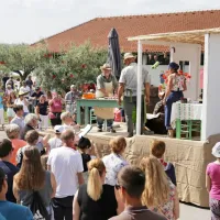 V Brdih živo, kot že dolgo ne: praznik se je vrnil na dobro letino če&scaron;enj (FOTO in VIDEO)