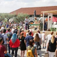 V Brdih živo, kot že dolgo ne: praznik se je vrnil na dobro letino če&scaron;enj (FOTO in VIDEO)