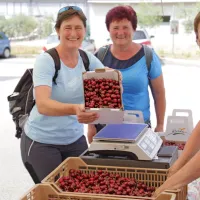 V Brdih živo, kot že dolgo ne: praznik se je vrnil na dobro letino če&scaron;enj (FOTO in VIDEO)