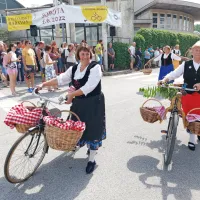 V Brdih živo, kot že dolgo ne: praznik se je vrnil na dobro letino če&scaron;enj (FOTO in VIDEO)