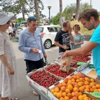 V Brdih živo, kot že dolgo ne: praznik se je vrnil na dobro letino če&scaron;enj (FOTO in VIDEO)