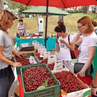 V Brdih živo, kot že dolgo ne: praznik se je vrnil na dobro letino če&scaron;enj (FOTO in VIDEO)