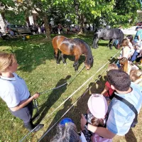 Med drugim so na obisk prišli konji, otroci pa so manjše lahko tudi 
zajahali.