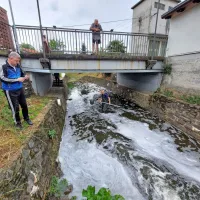 V Vrtojbici so poginile ribe