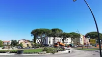 Novo krožišče je nesorazmerno veliko glede na ostala krožišča v mestu. Široko je 44 metrov, širše je le še 
tisto  pri hitri cesti, ki ima  81 metrov.  