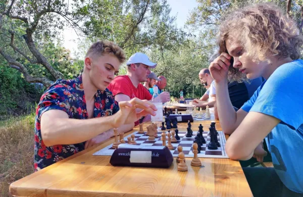 Umetnost in &scaron;ah v oljčniku