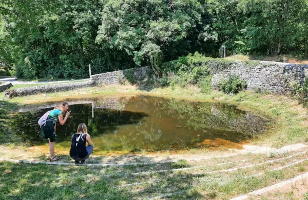Z odstranjevanjem zlatih ribic so izboljšali stanje kalov.