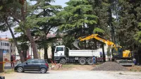 Park so že skrčili,  v prihodnjih dneh ga bodo še bolj. Levji grad je sprva napovedovalo podjetje IP Obala, 
potem ko je pristalo v izvršilnem postopku, pa je zemljišče pred štirimi leti kupil  Grafist.    