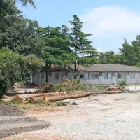 Začenja se gradnja Levjega gradu: ne bodo odstranili samo dreves, ampak tudi otro&scaron;ki igrali