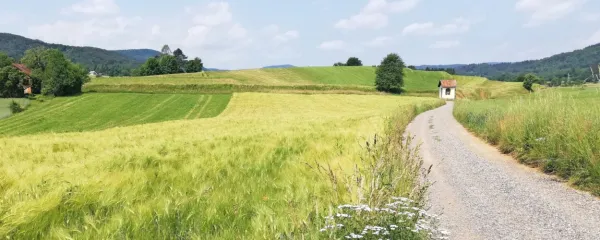 Ni vse jasno, kadar rečemo, da &ldquo;naslavljamo deležnike&rdquo;