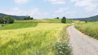 Ni vse jasno, kadar rečemo, da &ldquo;naslavljamo deležnike&rdquo;