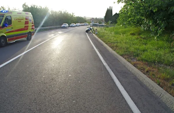 Avto zaviral zaradi srne, motorist pa trčil vanj