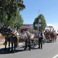 Kar pet nagrad najizvirnej&scaron;im furmanom