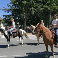 Kar pet nagrad najizvirnej&scaron;im furmanom