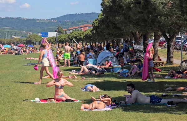 Zelenic ne bodo več zalivali.