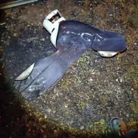 V  baraki  je  bila  tudi plinska  jeklenka,  ki  je  eksplodirala.    