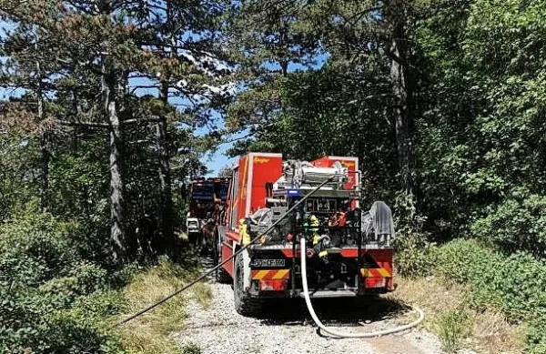 Požar so uspeli obvladati.