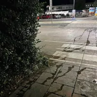 Nepridipravi vdirajo v zalivalne sisteme Marjetice Koper