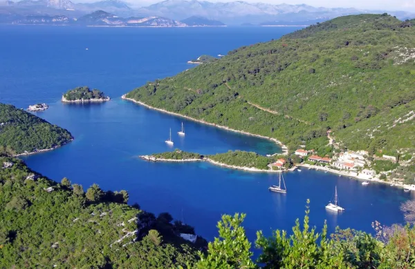 

Umrli vodja posadke naj bi bil hrvaški državljan, potniki pa 
tujci.