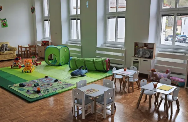 CSD  je po prijavi suma nasilja sklical medinstitucionalni tim,   organiziral izobraževanje za zaposlene, izvajali 
bodo redno supervizijo z osebjem, obiske v sirotišnici...