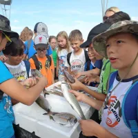 [FOTO] Riba kilometer nič je okusnej&scaron;a