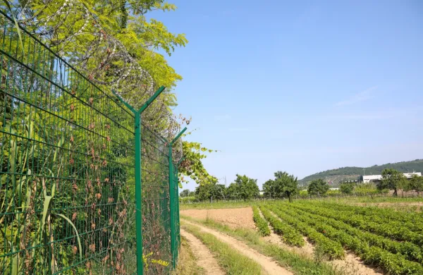 Kdaj bo slovenska vojska odstranila ograja na primorskem delu 
slovensko-hrvaške meje, še ni znano. 