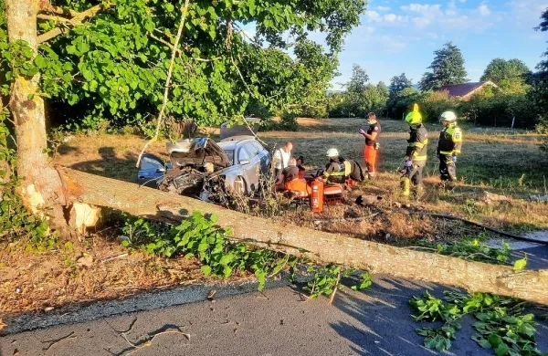 Na cesti Parje - Palčje voznik z avtom v drevo