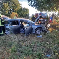 Na cesti Parje - Palčje voznik z avtom v drevo