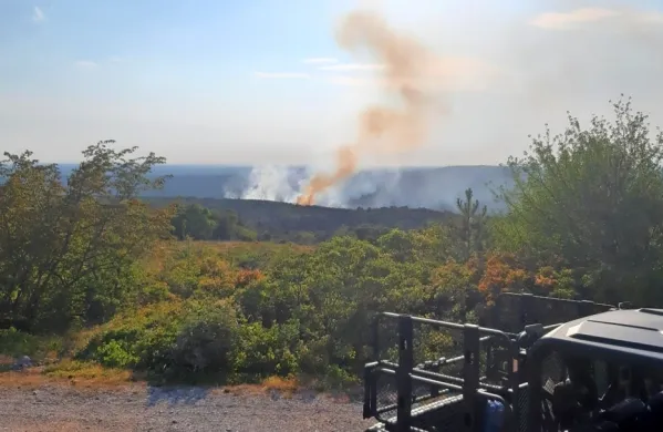 Ognjeni zublji in dim ob cesti med Mirnom in Opatjim selom