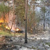 Požar nad Renčami se je ponoči spet razplamtel, a je zdaj pod nadzorom