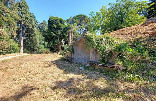 Za zdaj so odstranili rastje v vzhodnem delu, prihodnji teden nadaljujejo v zahodnem. Eksotičen park, zaprt že 20 let,  naj bi sicer celovito prenovili 
do prihodnje pomladi, ko ga bodo odprli za javnost. V njem bo krožna  pot, odprli naj bi ga tudi s strani samostana Kostanjevica. 