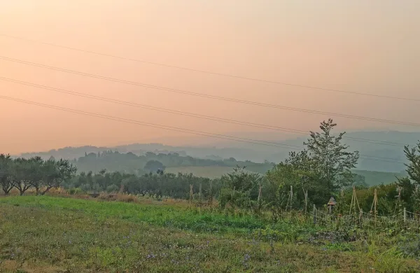 Prebivalci slovenske Istre so se zbudili v “megleno” jutro, polno 
dima, ki opominja na naravno katastrofo na Krasu.