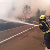 Na cesti med Vojščico in kostanjevico na Krasu se gasilci trudijo 
ustaviti ogenj, ki se nezadržno širi.