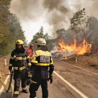 Na cesti med Vojščico in kostanjevico na Krasu se gasilci trudijo 
ustaviti ogenj, ki se nezadržno širi.