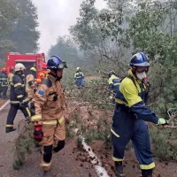 S sečnjo dreves so skušali ustvariti protipožarne preseke.