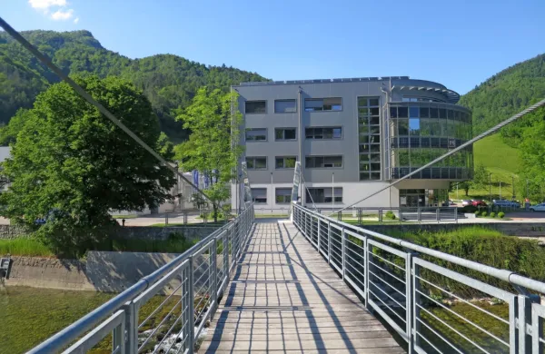 Družina Svetlik, ki je lastništvo v Hidrii prodala velikemu Gonvarriju in 
vodstvo Hidrie, so prepričani, da so za slednjo “zgradili” trden most 
v prihodnost.