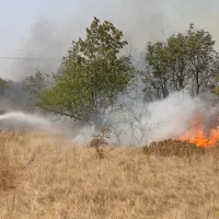 FOTO+VIDEO: Ogenj na Krasu nadaljuje svoj uničujoči pohod. V zaledju Renč evakuacija le za sedem krajev.