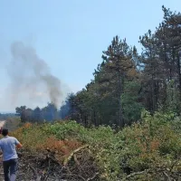 Dana&scaron;nji dan bolj prijazen do gasilcev, a skrbi jih burja